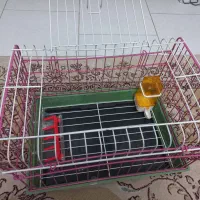 قفس حیوانات