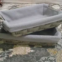 جانونی و جاسبزی