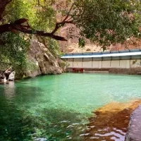 تور گردشگری