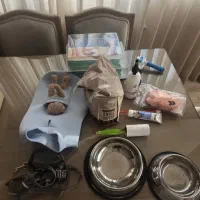 لوازم سگ|لوازم جانبی حیوانات|قم, سالاریه|دیوار