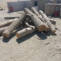 خریدچوب باغی