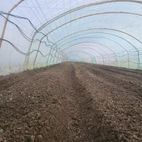 نیرو ماهر می‌خوام  گلخانه خیار با حقوق خوب