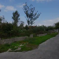 زمین مسکونی متراژ حدود ۱۶۰ متر (متری ۷/۵۰۰ ت )|فروش زمین و ملک کلنگی|رشت, سیا اسطلخ|دیوار