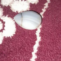 مهره انکشتر قدیمی|جواهرات|حمیدیه, |دیوار