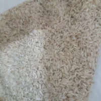 برنج دورود|خوردنی و آشامیدنی|تهران, شهید بهشتی|دیوار