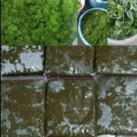 عنوا سبزی خام رامهرمزارسال به سرتاسرکشور|خوردنی و آشامیدنی|اصفهان, دانشگاه افسری امیرالمومنین|دیوار