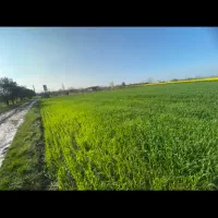 زمین-در-بانکلاته