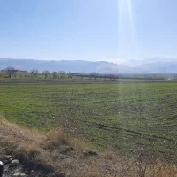 فروش زمین با مجوز گلخانه هیدروپونیک چاه نیمه عمیق