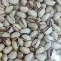 بادامی ۱۰۰ درصد
