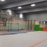 نقاشی حرفهای بابهترین کیفیت وقیمت منصفانه|خدمات پیشه و مهارت|اهر, |دیوار