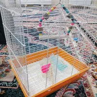 قفس طوطی یا قناری