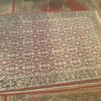 فروش فرش دستباف ۶ متری|فرش|شیراز, دکتر حسابی|دیوار