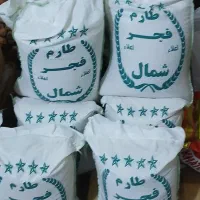 فروش برنج فجر شمال ایران