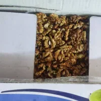 مغز گردو|خوردنی و آشامیدنی|قم, باجک دو|دیوار