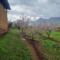 یک سوله صنعتی با جرثقیل سقفی