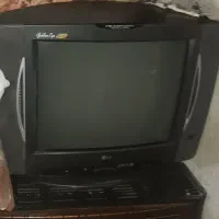 تلوزیون