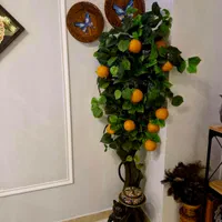 مجمع مسی و|کلکسیون اشیاء عتیقه|قائمشهر, |دیوار