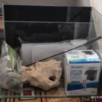 اکواریوم شیشه خم