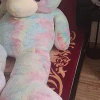 شاسخین رنگی