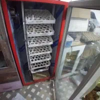 دستگاه جوجه کشی مشهد برق