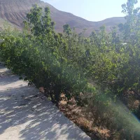 باغ-آماده-با-جواز-ساخت-گرمابسرد-دماوند