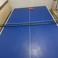 میز پینگ پنگ تن ساز