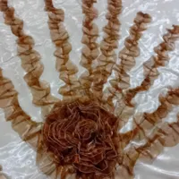 روتختی عروس نو