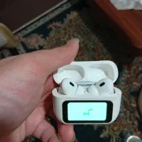 طاق میزنم با پرنده