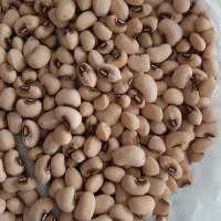 ماش