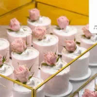 کیک تولد،کیک عصرونه ،کاپ کیک ،ژله تزریقی ،ژله