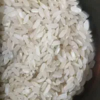 برنج کامفیروز