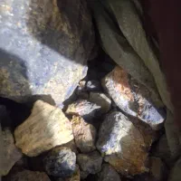 زرنیخ و آنتیموان عیارپایین وبالا