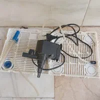 آکواریوم معاوضه|ماهی|آستانه اشرفیه, |دیوار