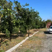 فروش فوری زمین در شمال