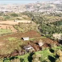 فروش یک قطعه زمین کشاورزی|فروش زمین و ملک کلنگی|خلیل شهر, |دیوار