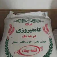 فروش برنج کامفیروزی درجه یک یک|خوردنی و آشامیدنی|شیراز, شهرک گلستان شمالی|دیوار