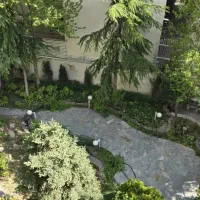 ۱۵۰مترفول انرژی/تک واحدی/زندگی در قلب درختان/یاسر