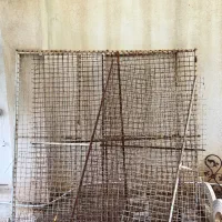 گنجه کفتری|پرنده|شیراز, گویم|دیوار