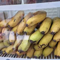 نیازمند نیروی جوان جهت همکاری در آبمیوه بستنی