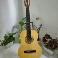 گیتار مستر ورک masterwork وارداتی