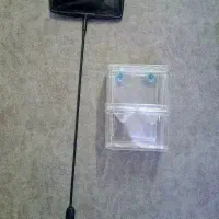 زایشگاه تور آکواریوم