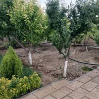 ویلا جهت اجاره روزانه ماه و سالانه...|اجارهٔ کوتاه‌مدت ویلا و باغ|ماهدشت, |دیوار