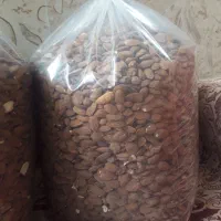 مغز بادام|خوردنی و آشامیدنی|یامچی, |دیوار