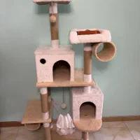 اسکرچر گربه