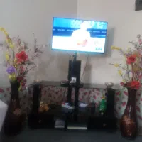 اجاره سویت مبلی|اجارهٔ کوتاه‌مدت آپارتمان و سوئیت|کازرون, |دیوار