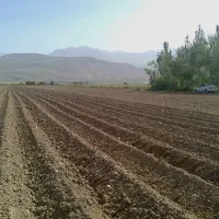 زمین کشاورزی آبی