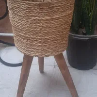 گلدون حسیری کارکرده