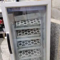 دستگاه جوجه کشی
