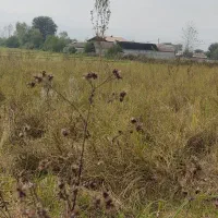 زمین 4هزار متر