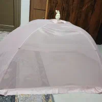 لوازم کودک|اسباب و اثاث بچه|آستانه اشرفیه, |دیوار